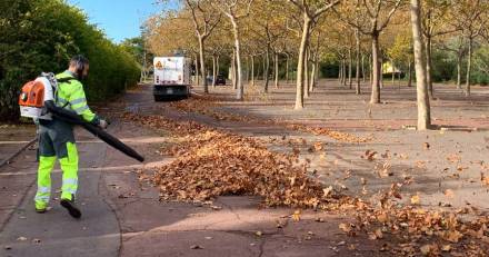 Agglo Hérault Méditerranée - Espaces verts : les agents mobilisés face aux intempéries