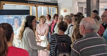 Cap d'Agde - Vacances de la Toussaint : Visites commentées des collections permanentes au musée de l'Ephèbe